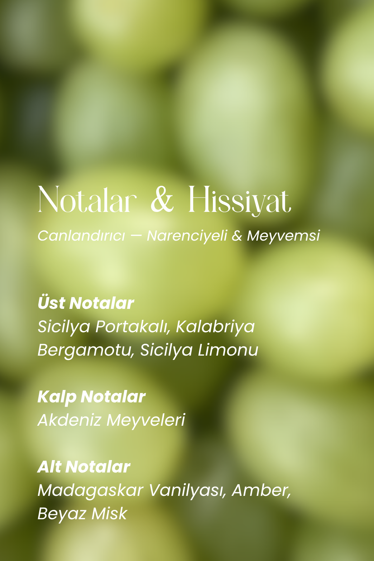 fruit basket shower gel